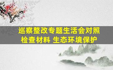 巡察整改专题生活会对照检查材料 生态环境保护